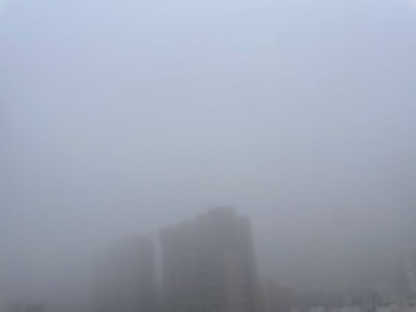 能见度最低不足50米！浓雾迷城转晴好赏花，湖北下周6级北风+中雨大雨开场