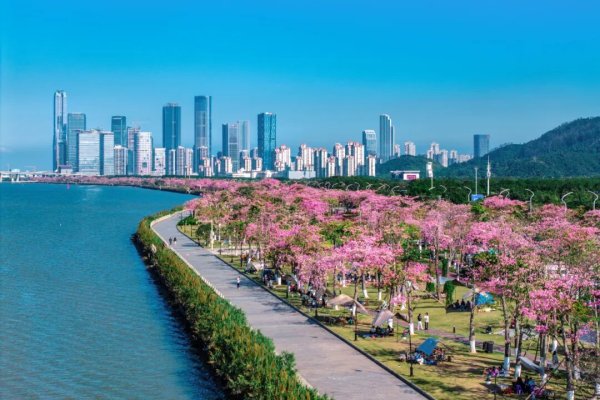 这座“桃花源”，藏在大湾区